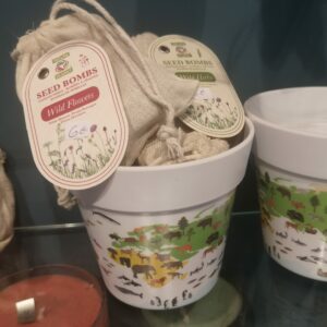 Graines & Pots