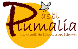 asbl Plumalia